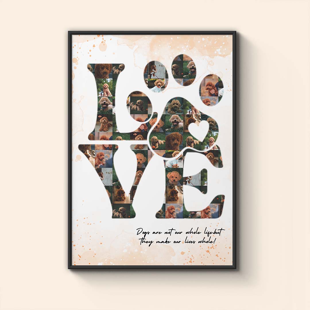 Colaj "Câinele Meu"