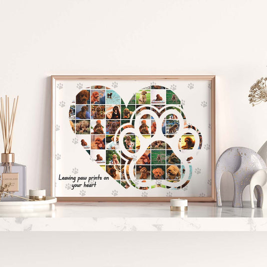 Colaj "Micul Meu Prieten"