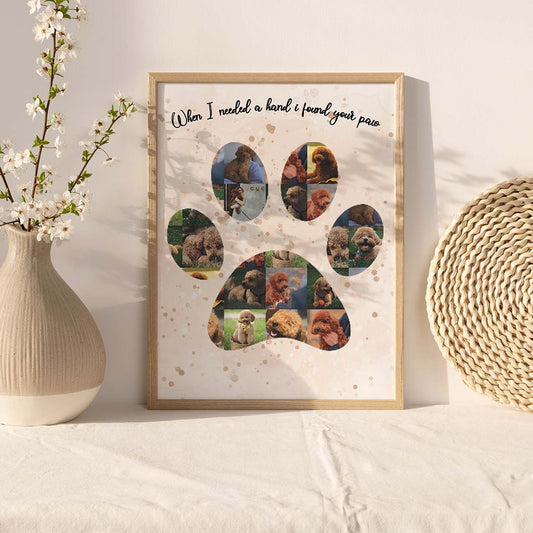 Colaj "Lăbuța Câinelui"